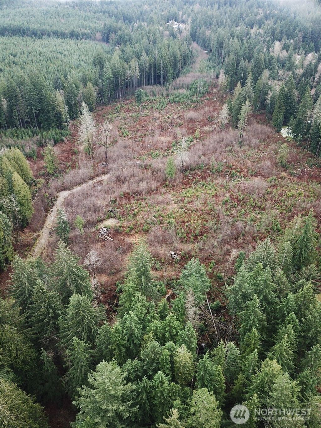 Photo of 0 364th Avenue SE, Maple Valley, WA 98038 (MLS # 2457269)