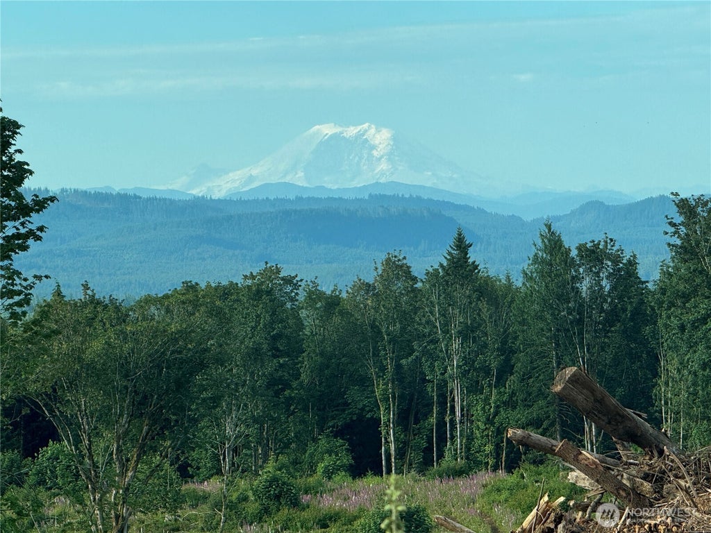 Photo of 27417 Old Pipeline Road, Monroe, WA 98272 (MLS # 2569758)