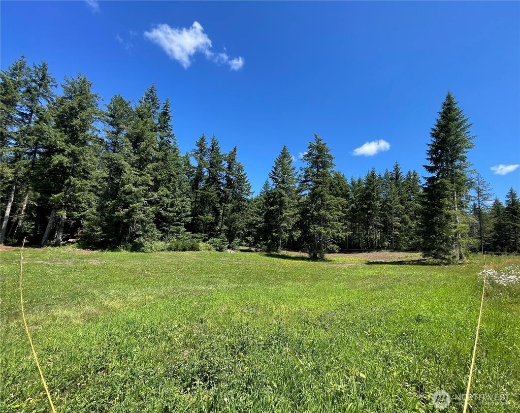 Photo of 0 XX Lynch Road, McCleary, WA 98557 (MLS # 2549948)