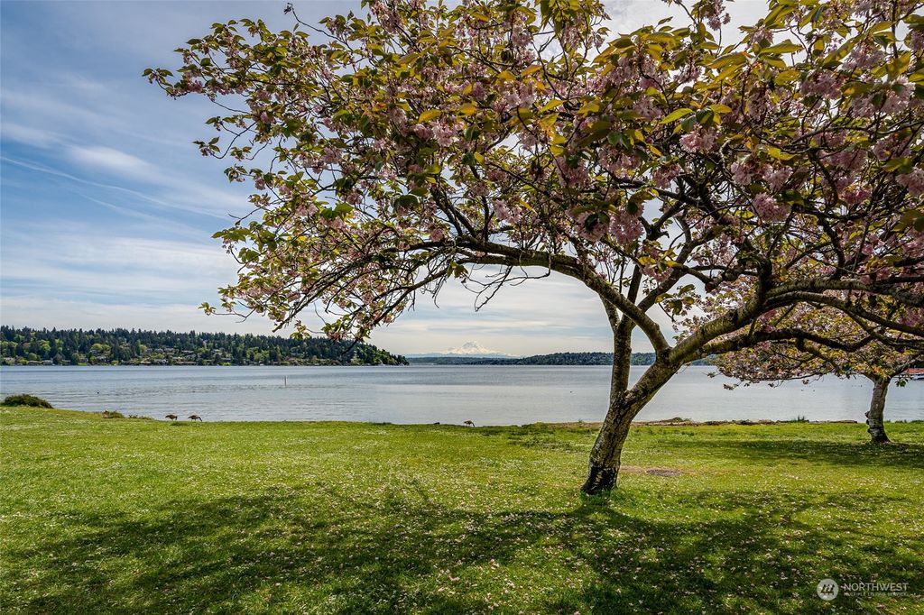 listing image 9360589193425854346