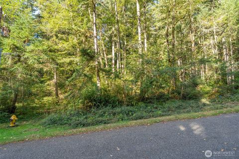 Photo of 10602 Vantage Drive, Anderson Island, WA 98303 (MLS # 2446700)