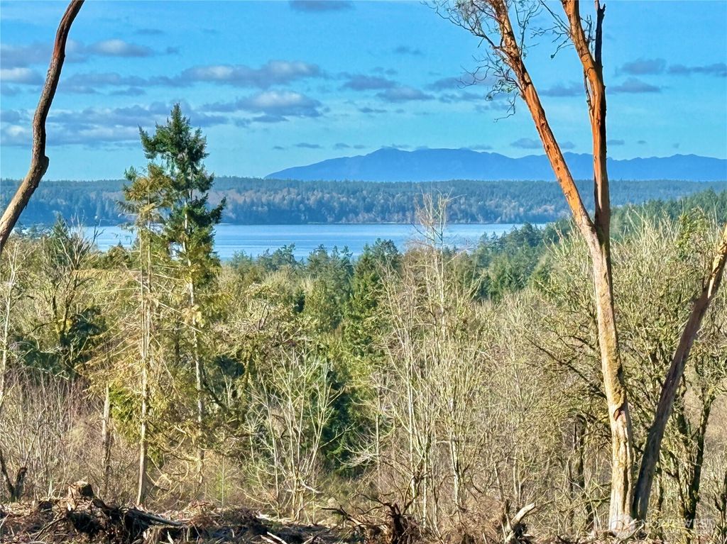 Photo of 4324 183rd Avenue Ct SW, Longbranch, WA 98351 (MLS # 2489575)