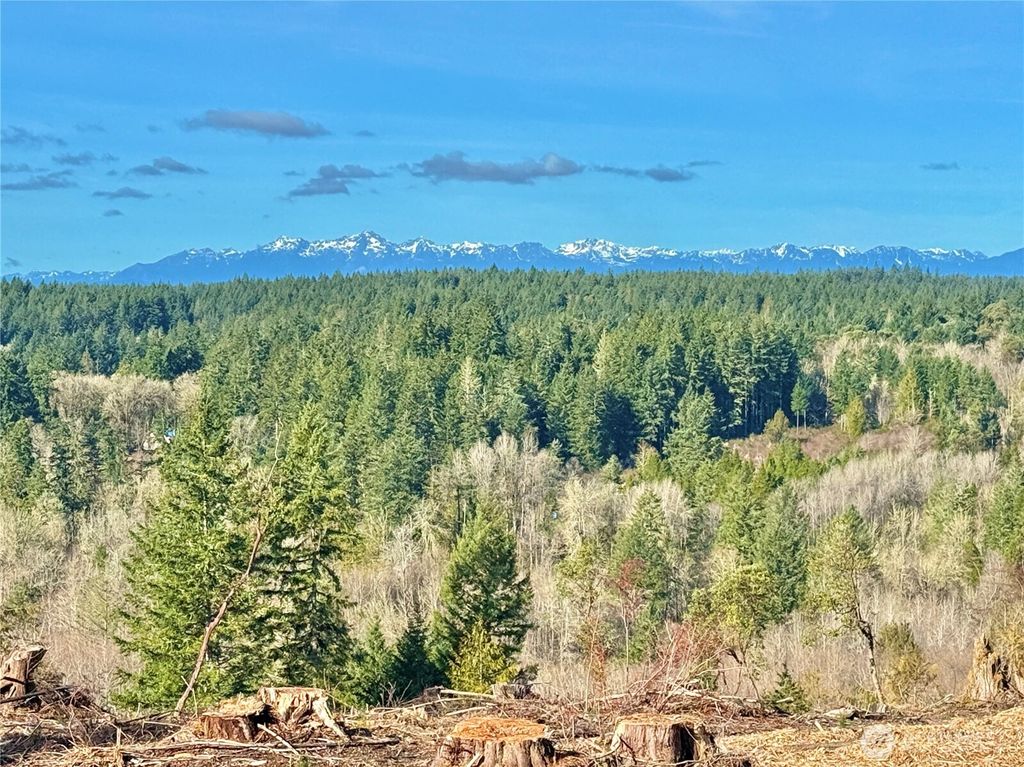 Photo of 4324 183rd Avenue Ct SW, Longbranch, WA 98351 (MLS # 2489575)