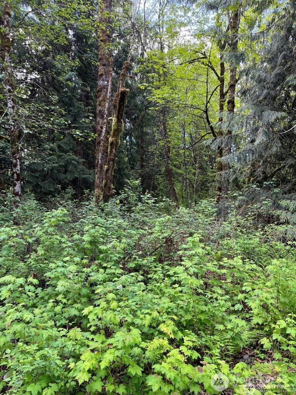 Photo of 13420 74th Street NE, Lake Stevens, WA 98258 (MLS # 2469413)