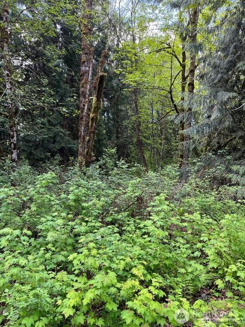 Photo of 13420 74th Street NE, Lake Stevens, WA 98258 (MLS # 2469413)