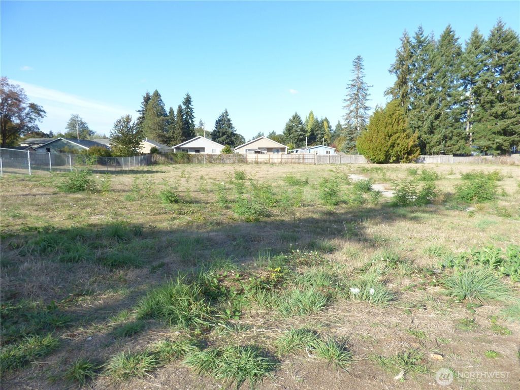 Photo of 241 170th Street E, Spanaway, WA 98387 (MLS # 2443072)