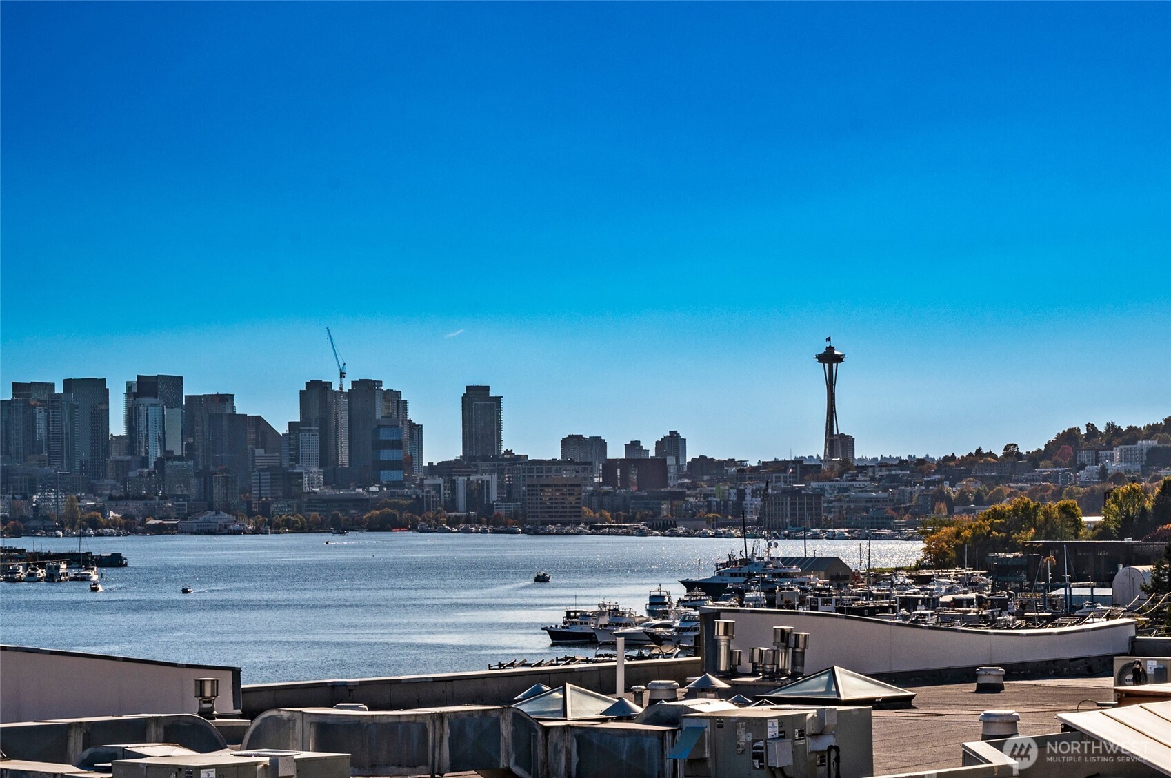 3919 Latona Avenue NE 307