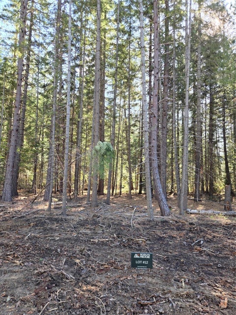 Photo of 12 Rock Cress Lane, Ronald, WA 98940 (MLS # 2595415)