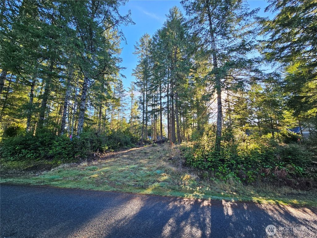 Photo of 1190 E Manzanita Drive, Union, WA 98592 (MLS # 2469479)