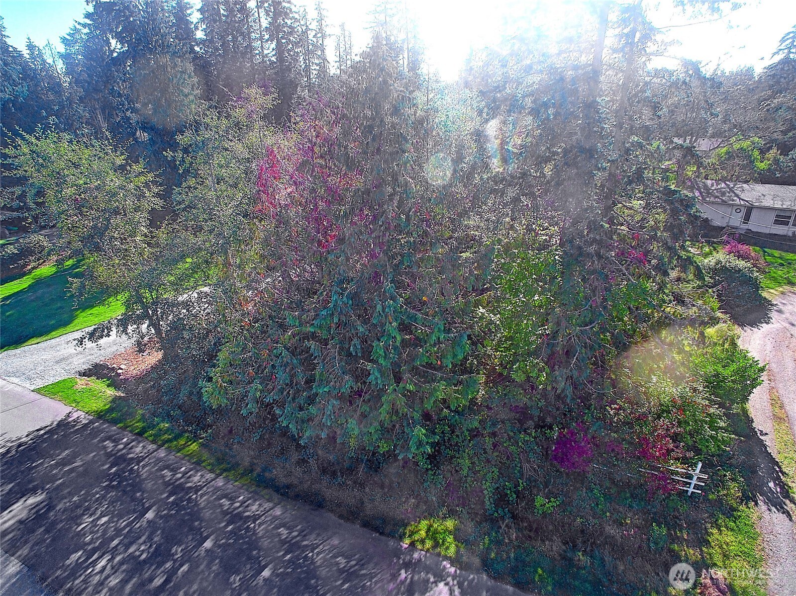 0 S Silver Fir Drive