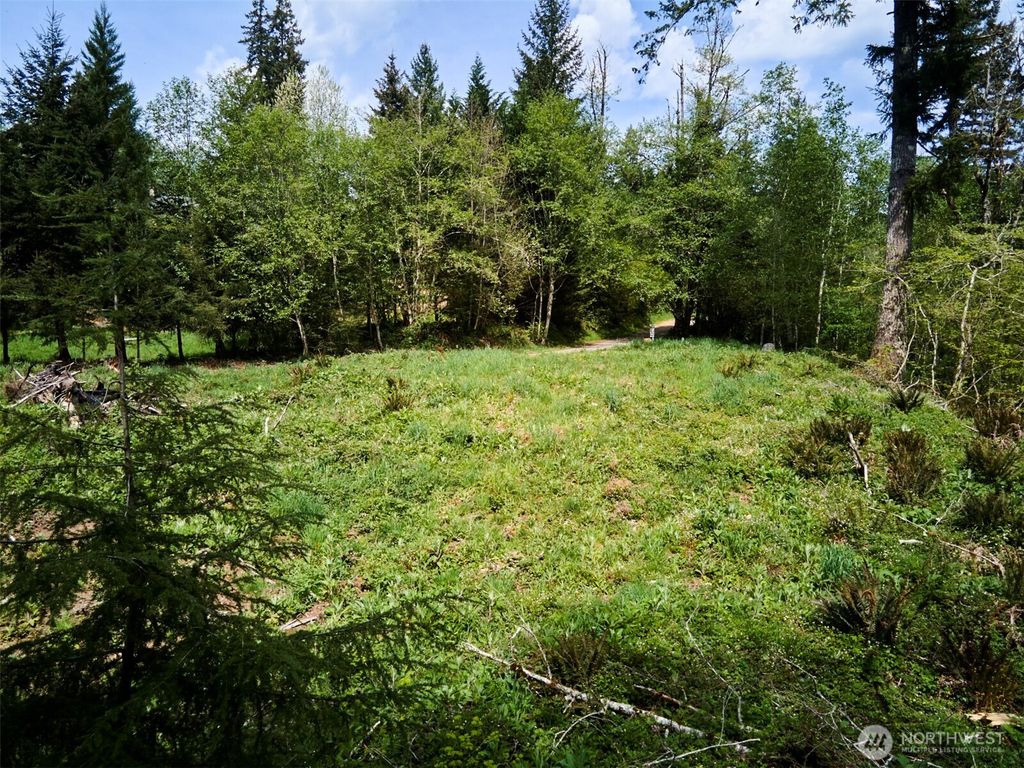 Photo of 140 Skinner Road, Woodland, WA 98674 (MLS # 2518912)