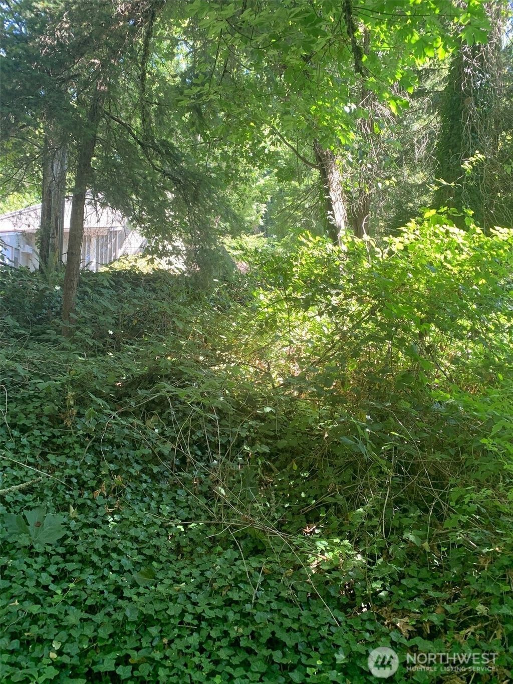 Photo of 9167 SE 64th Street, Mercer Island, WA 98040 (MLS # 2405733)