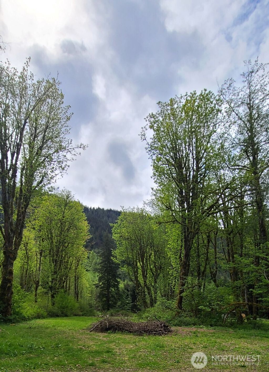 Photo of 32966 S Shore Drive, Mount Vernon, WA 98274 (MLS # 2491881)