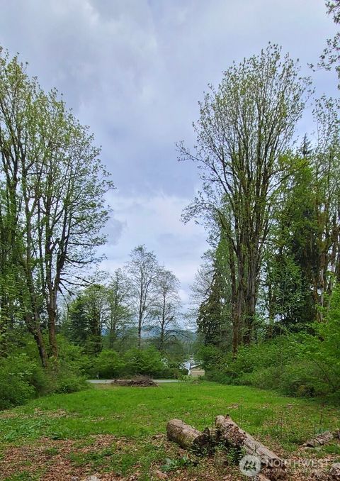 Photo of 32966 S Shore Drive, Mount Vernon, WA 98274 (MLS # 2491881)