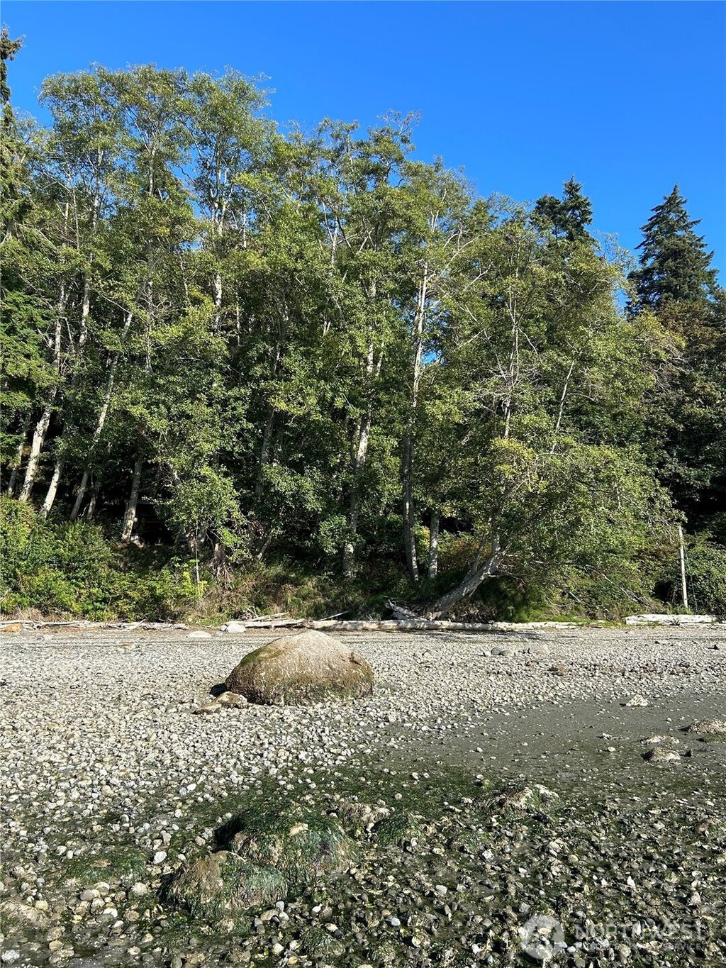 Photo of 111 Seven Sisters Beach, Port Ludlow, WA 98358 (MLS # 2498812)