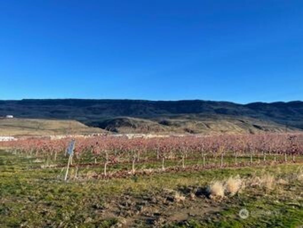 Photo of 851 S Van Well Ave. Ave, East Wenatchee, WA 98802 (MLS # 2461387)