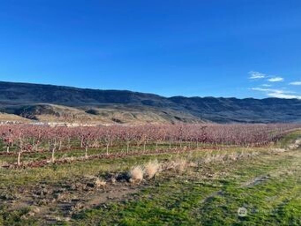 Photo of 851 S Van Well Ave. Ave, East Wenatchee, WA 98802 (MLS # 2461387)