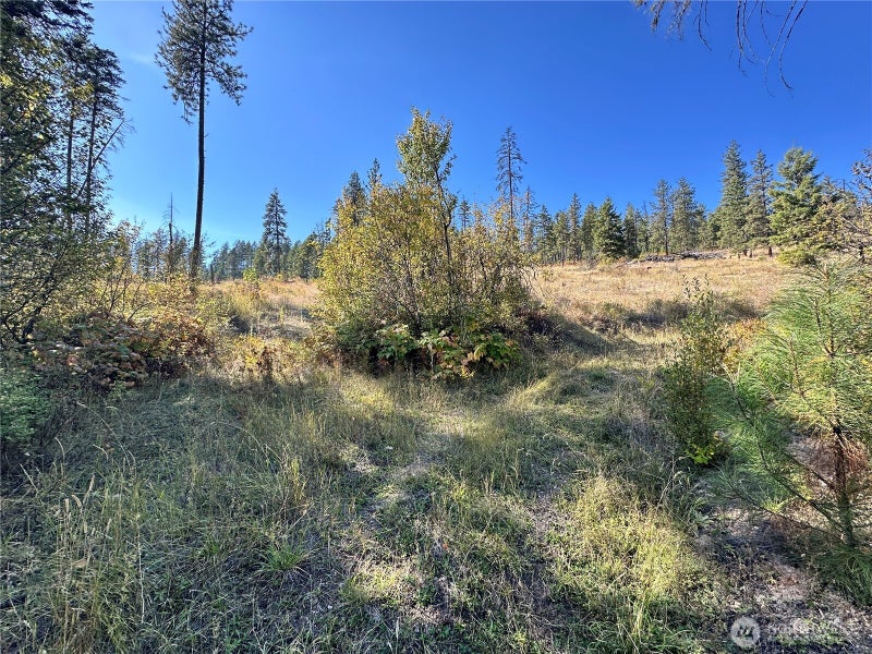 3 Lot 3 Deadman Creek Rd