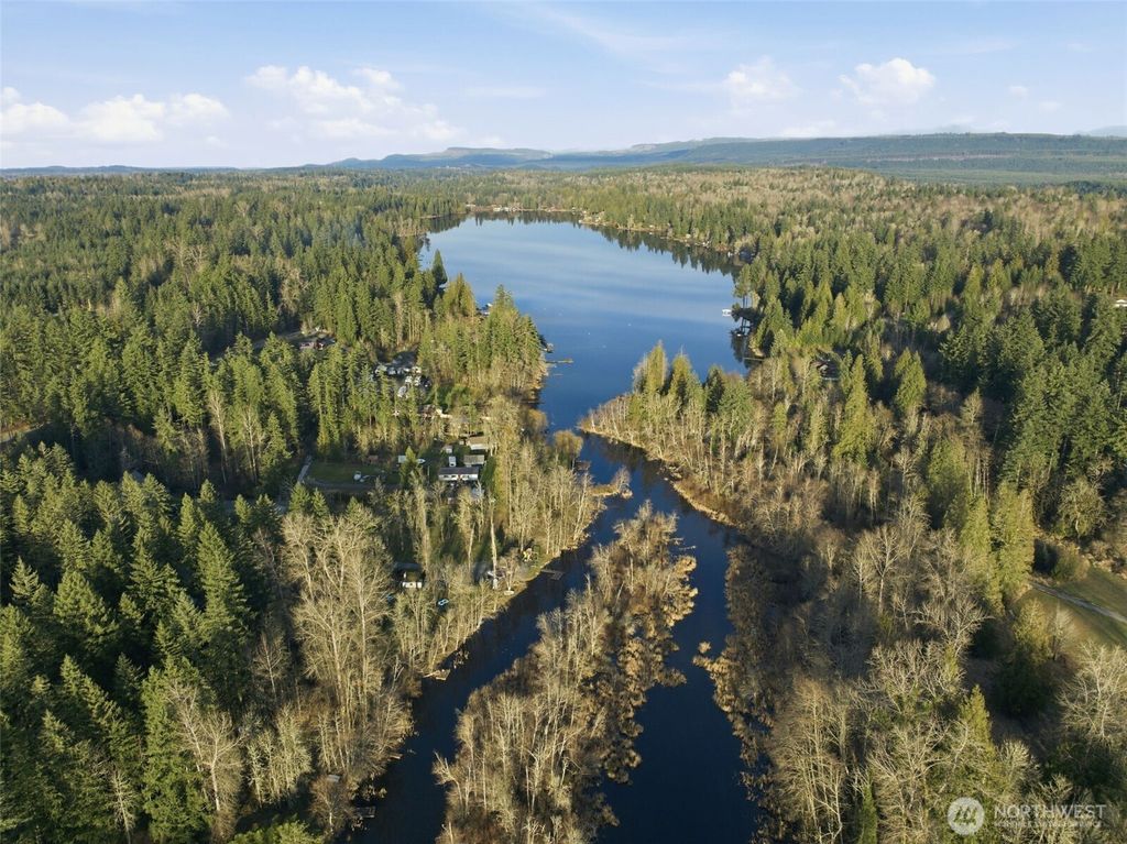 Photo of 34315 Tanwax Drive E, Eatonville, WA 98328 (MLS # 2477591)