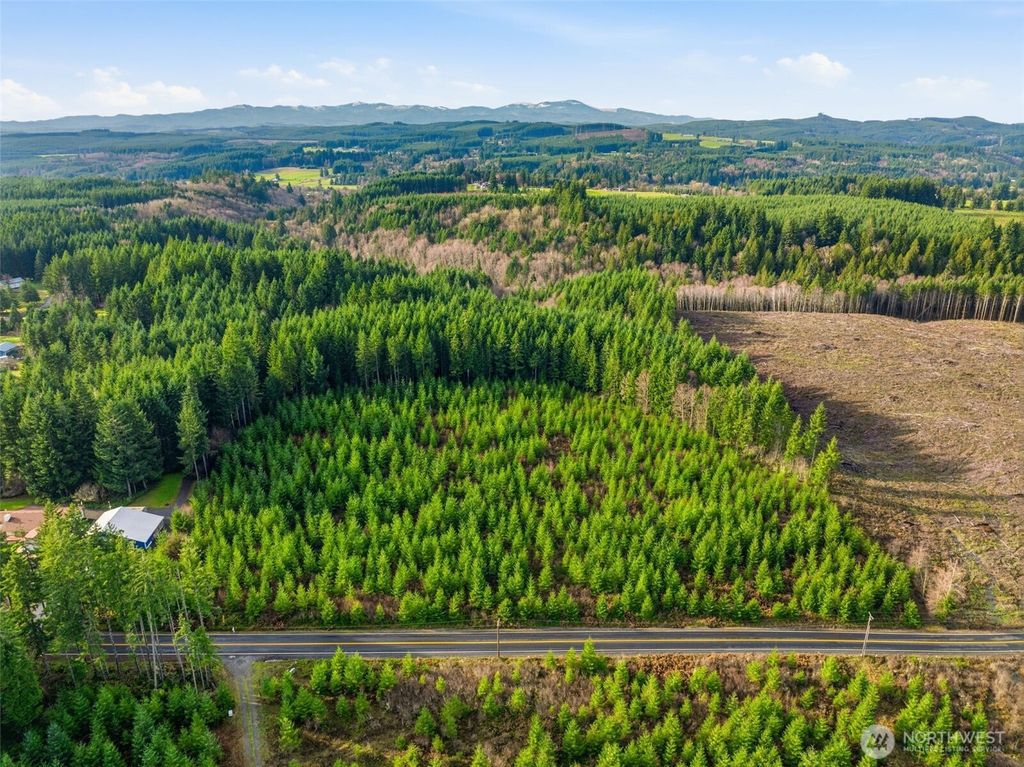 Photo of 0 NA Nikula Road, Winlock, WA 98596 (MLS # 2465105)