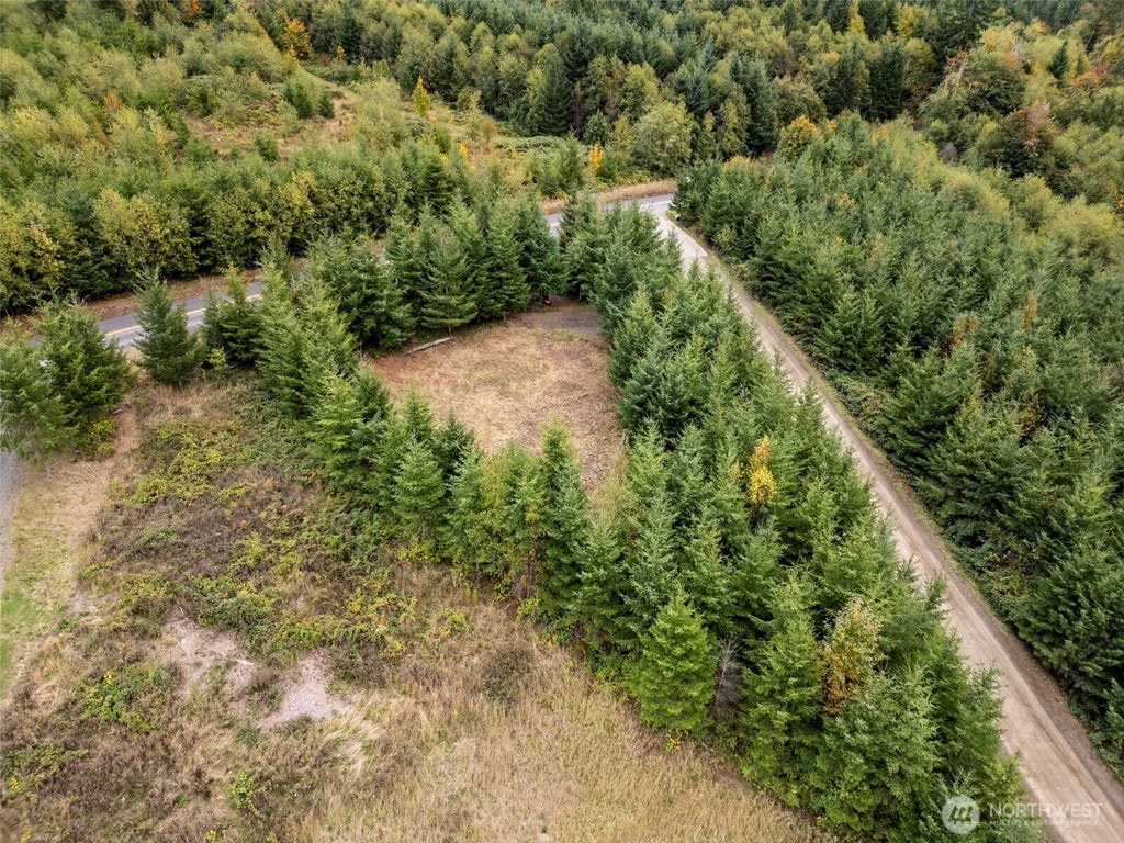 Photo of 0 Bootjack Lane, Kelso, WA 98626 (MLS # 2591644)