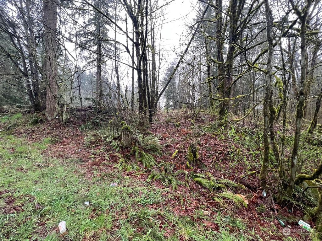 Photo of 27400 SE 188th Street, Issaquah, WA 98038 (MLS # 2055235)