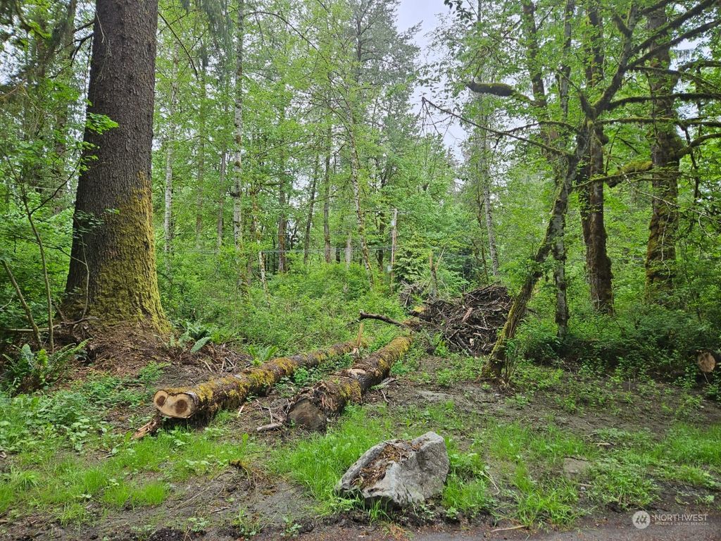 Photo of 225 N River Drive, Granite Falls, WA 98252 (MLS # 2067424)