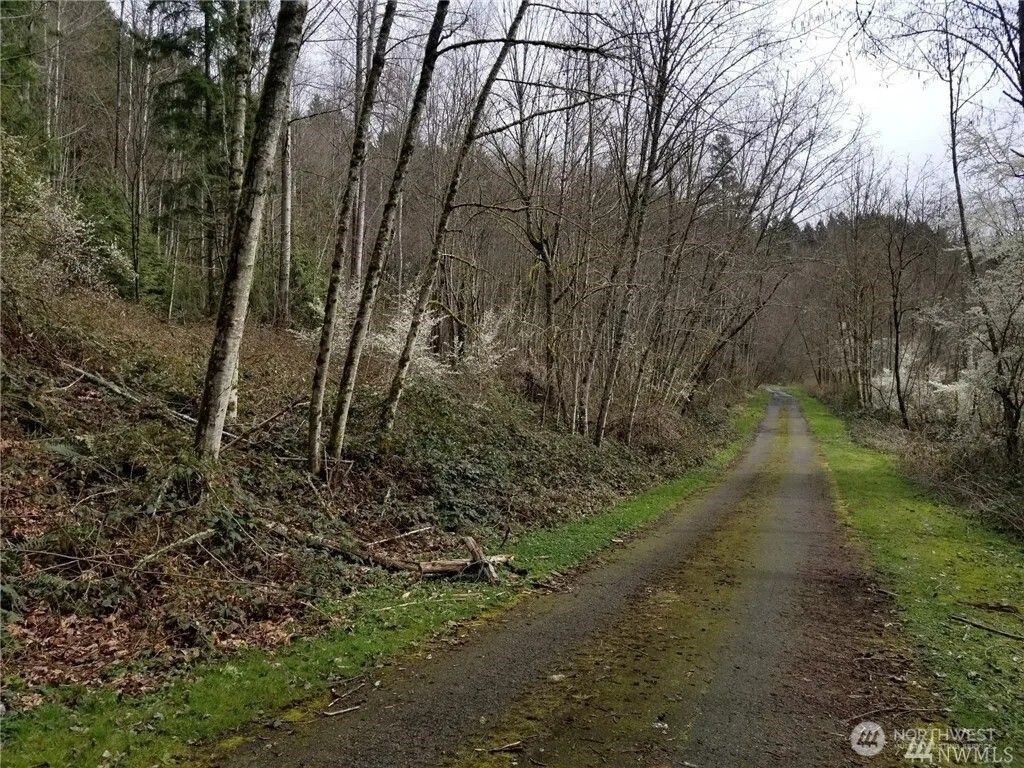 Photo of 0 NE 58th Street NE, Redmond, WA 98053 (MLS # 2502891)