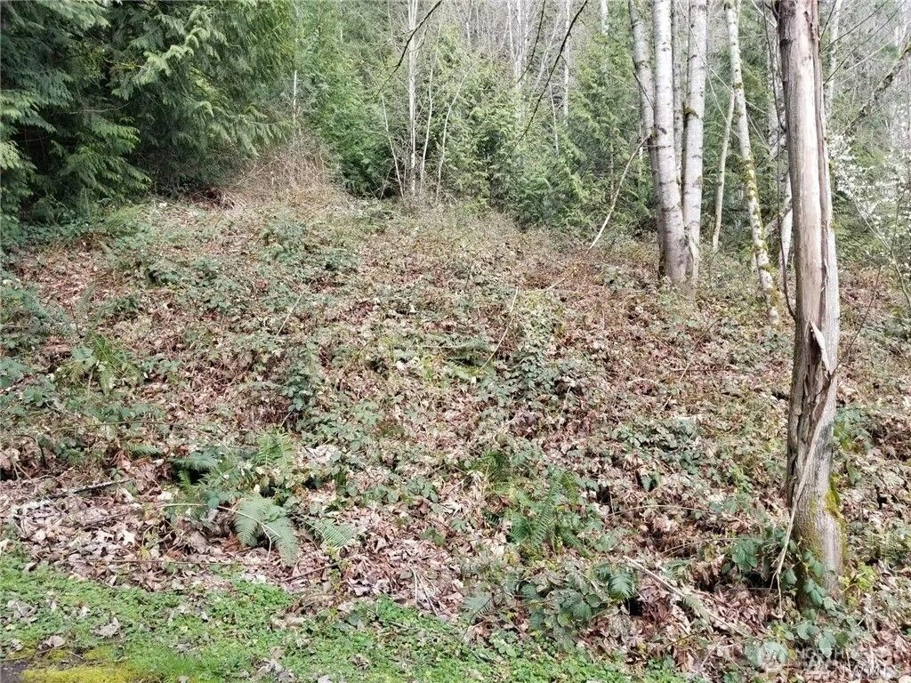 Photo of 0 NE 58th Street NE, Redmond, WA 98053 (MLS # 2502891)