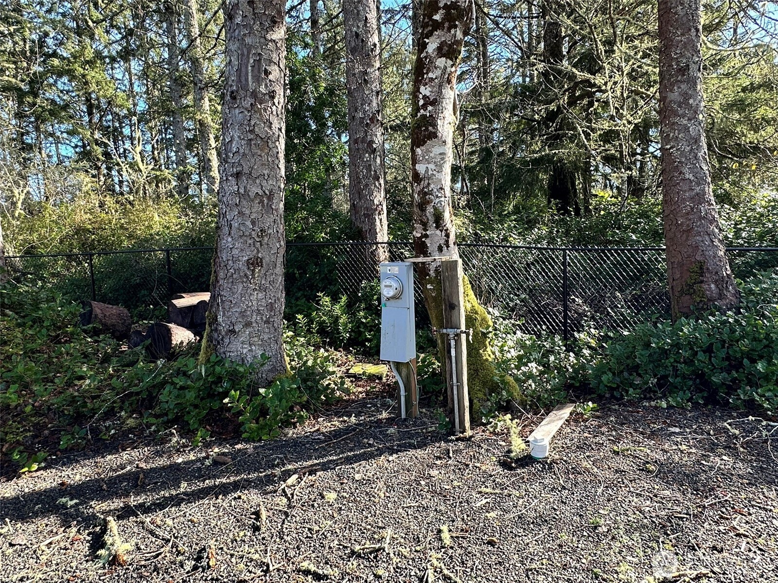 864 Hassalo Avenue SE