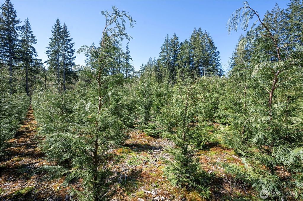 Photo of 101 Andrejs Road, Shelton, WA 98584 (MLS # 2506670)