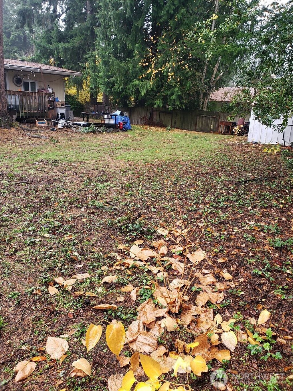 Photo of 1718 144th Avenue SE, Bellevue, WA 98007 (MLS # 2497584)