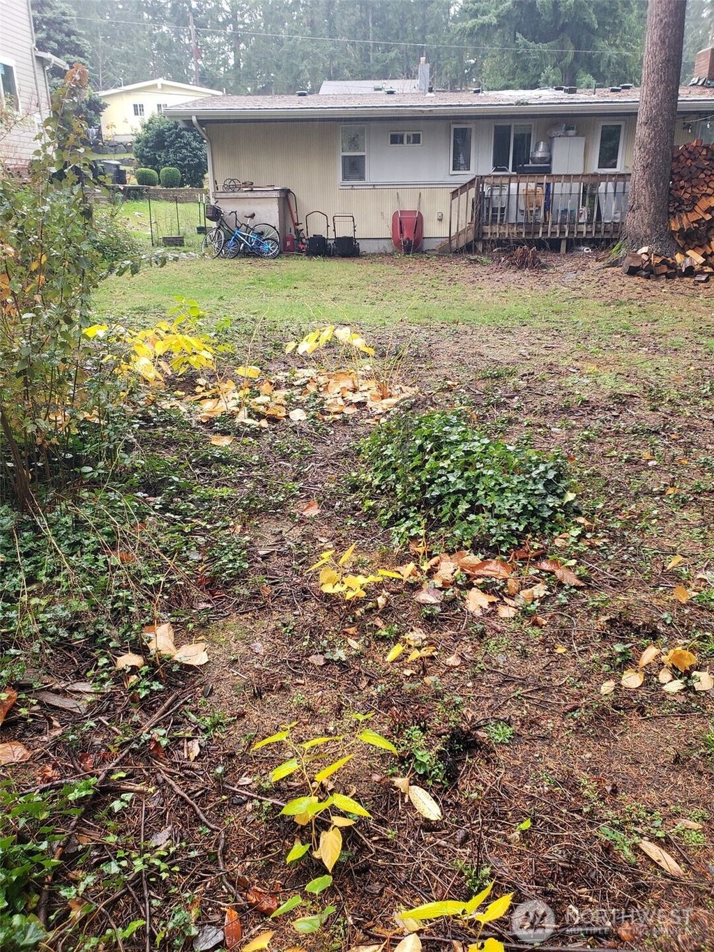 Photo of 1718 144th Avenue SE, Bellevue, WA 98007 (MLS # 2497584)