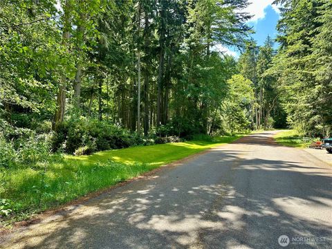 10312 Matthews Anderson Island WA 98303