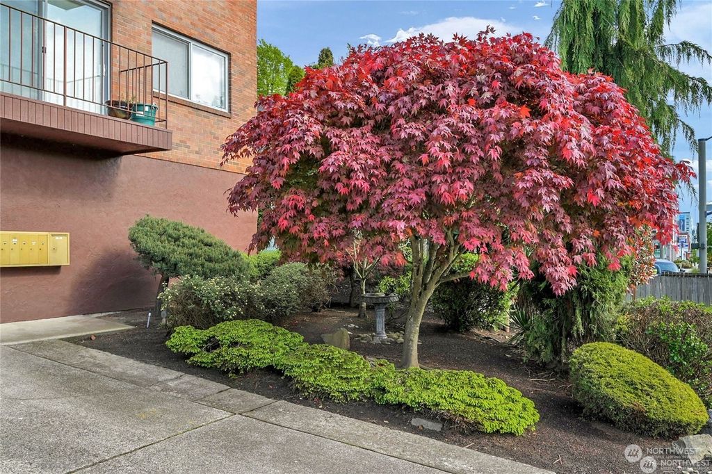Photo of 2619 Rucker Avenue #7, Everett, WA 98201 (MLS # 2331670)