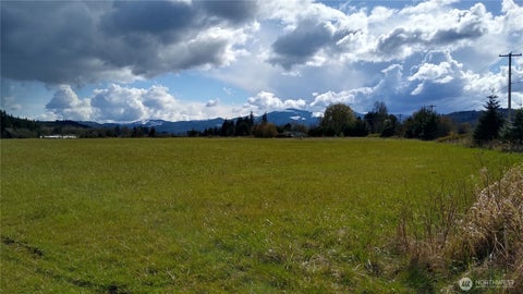 Photo of 559 08 Boistfort Rd, Curtis, WA 98538 (MLS # 2581290)