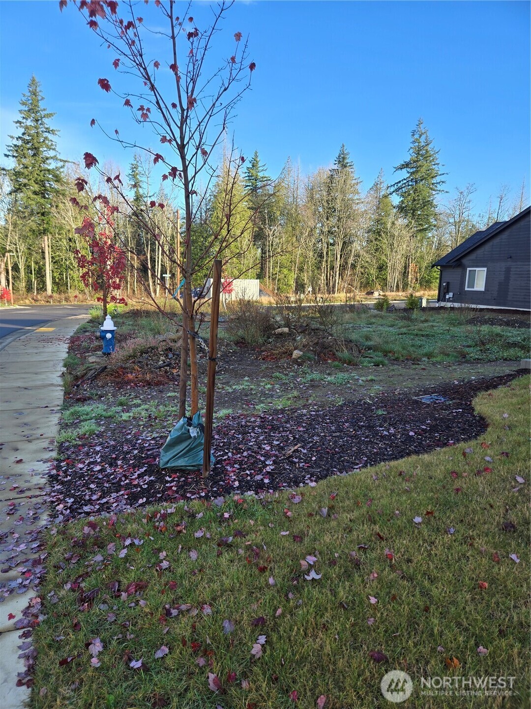 2811 Oleander lane Street