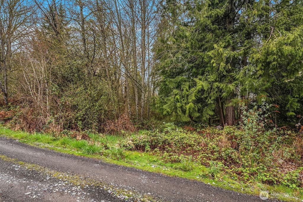 Photo of 67 XX W Snoqualmie Valley Road NE, Carnation, WA 98014 (MLS # 2456885)