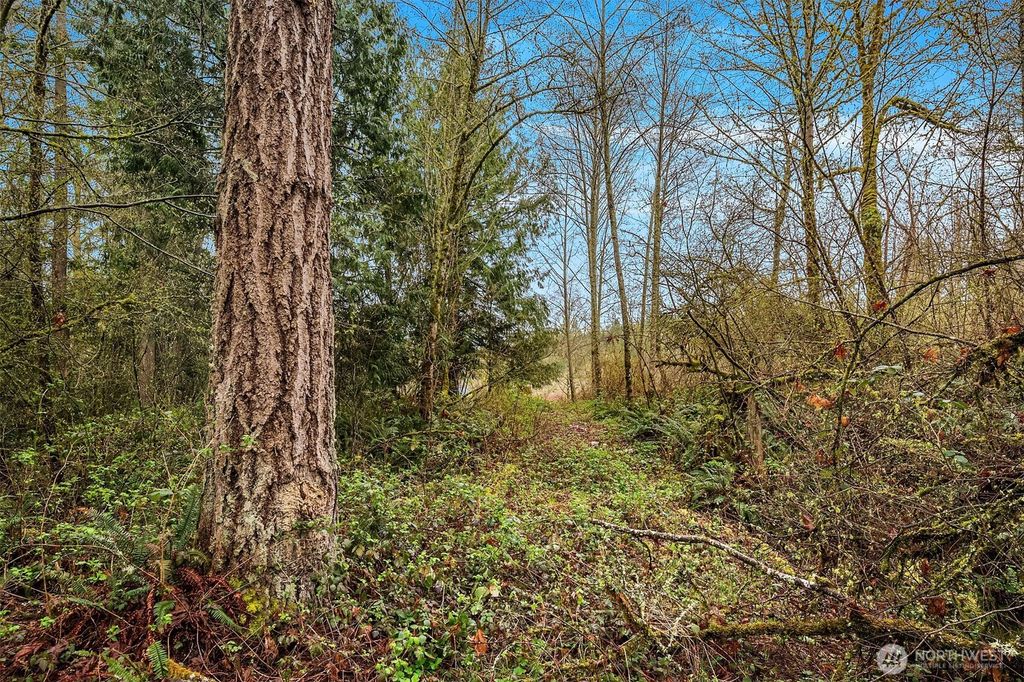 Photo of 67 XX W Snoqualmie Valley Road NE, Carnation, WA 98014 (MLS # 2456885)