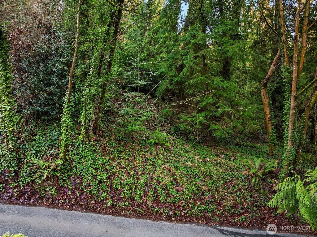Photo of 43 Fernbrook Drive, Mercer Island, WA 98040 (MLS # 2475869)