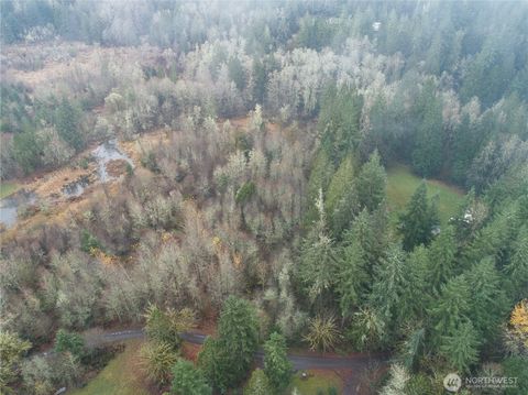 Photo of 12 X Cougar Lane, Toledo, WA 98591 (MLS # 2464630)