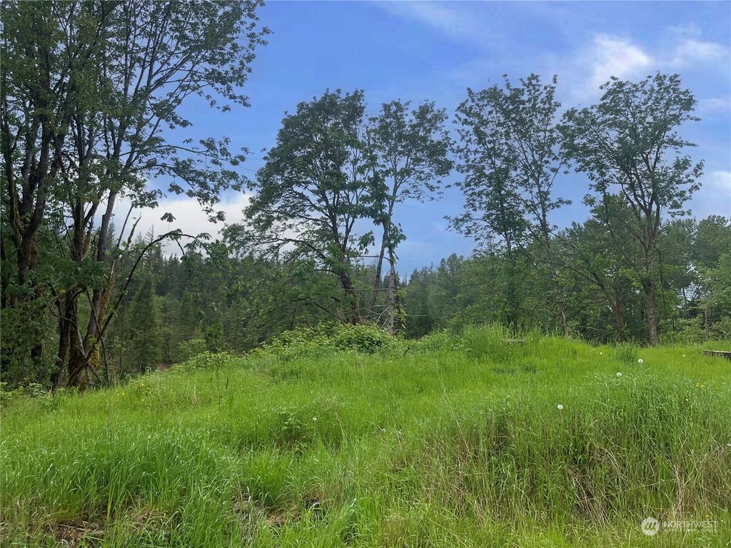 Photo of 36201 Mann Road, Sultan, WA 98294 (MLS # 2243994)