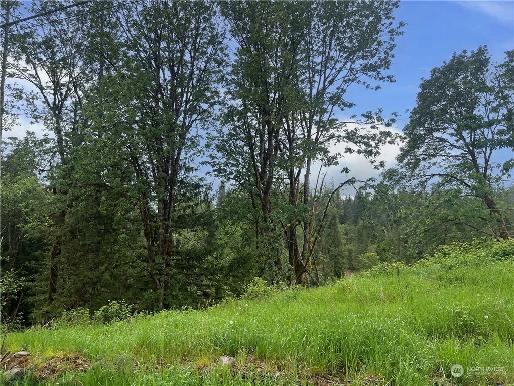 Photo of 36201 Mann Road, Sultan, WA 98294 (MLS # 2243994)