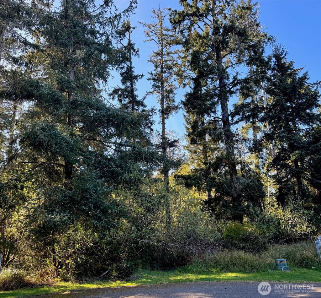 Photo of 186 Murphy Court SE, Ocean Shores, WA 98569 (MLS # 2520770)