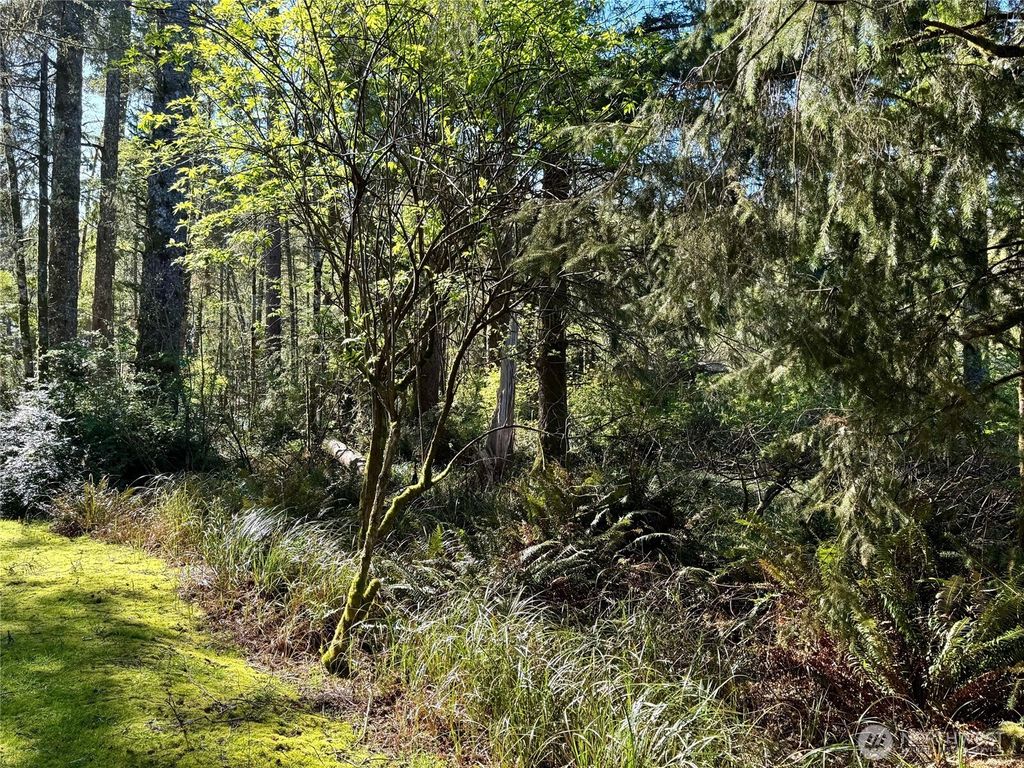 Photo of 186 Murphy Court SE, Ocean Shores, WA 98569 (MLS # 2520770)