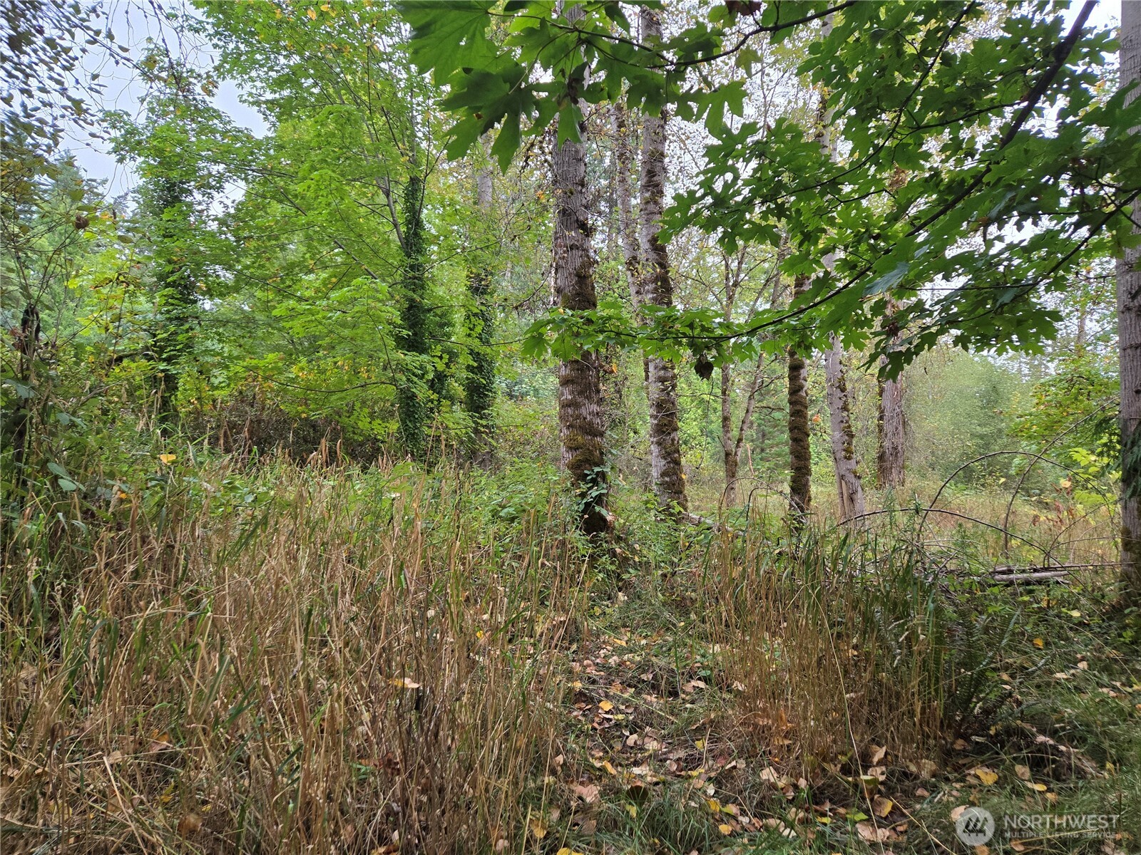 12628 208th Place NE