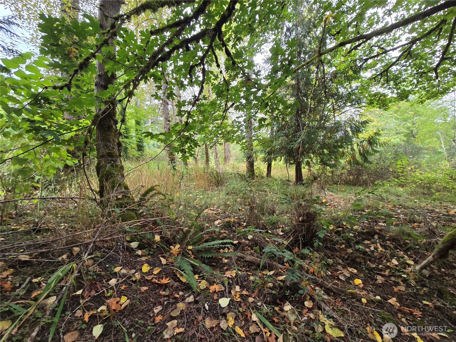 12628 208th Place NE