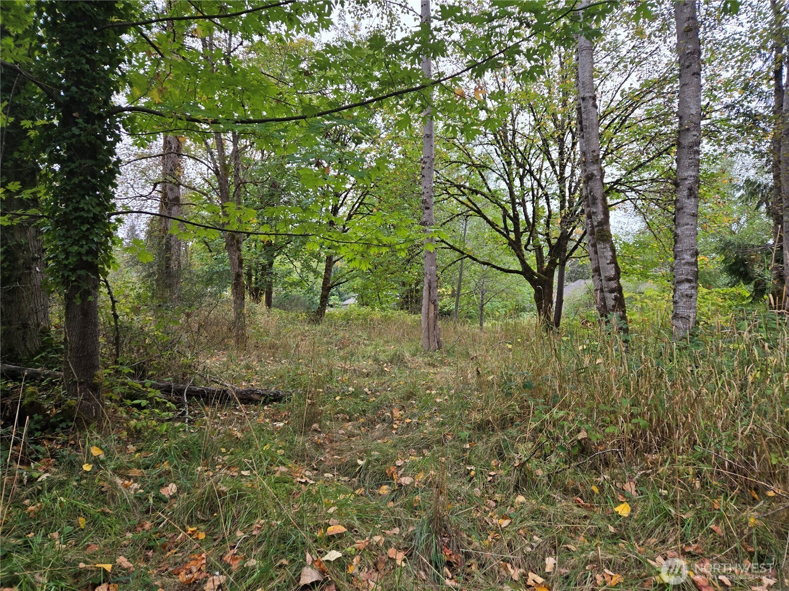 12628 208th Place NE