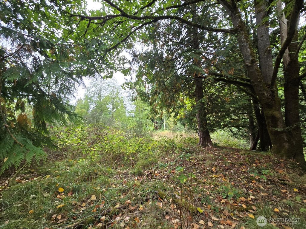 Photo of 12628 208th Place NE, Woodinville, WA 98077 (MLS # 2440112)