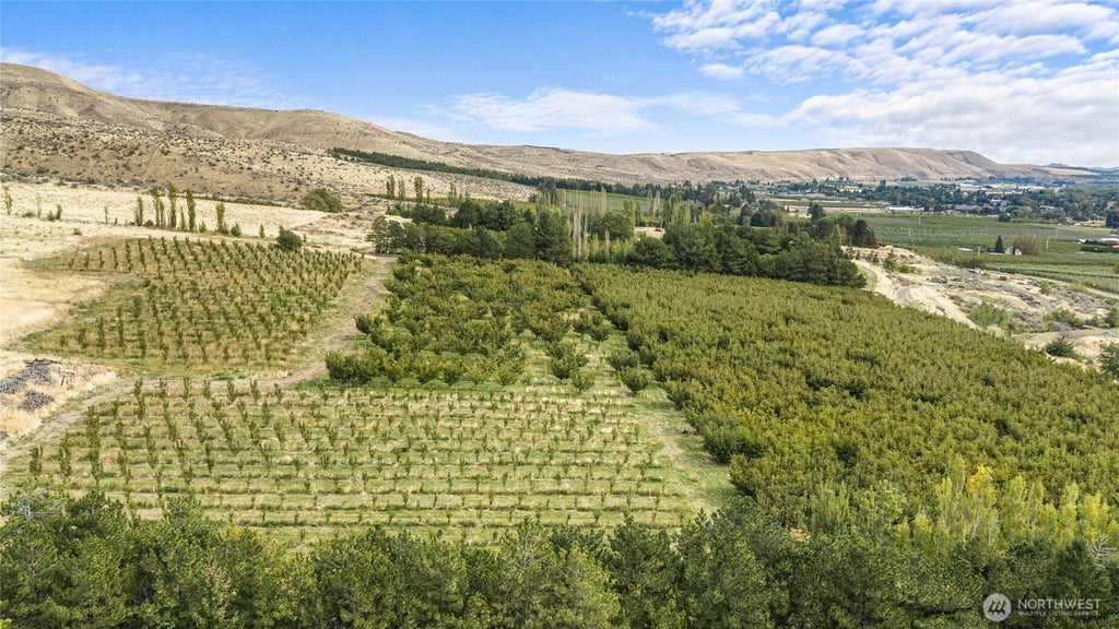 Photo of 2031 Cleman Drive, Naches, WA 98937 (MLS # 2587971)